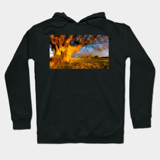 Welsh Evening Light Hoodie